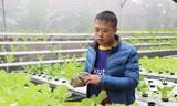 Chàng trai 8x tiên phong với mô hình trồng rau không cần đất