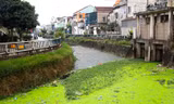 Kênh hào thành cổ ở Nghệ An đen đặc, ô nhiễm nghiêm trọng