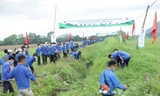 Tuổi trẻ Nghệ An: 5 năm dấu ấn một chặng đường