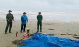 Vụ chìm tàu cá Nghệ An: Tìm thấy thêm thi thể