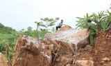 Bắt 4 nhóm khai thác trái phép hơn 1 nghìn tấn đá ở Nghệ An