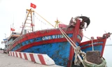 Ra khơi lỗ nặng, tàu thuyền lại nằm bờ la liệt