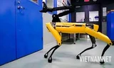 Chó Robot giám sát công trình xây dựng chặt chẽ đến từng chi tiết