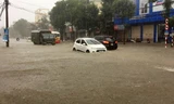 Mưa trắng trời suốt đêm đến sáng, thành Vinh ngập sâu trong biển nước
