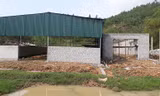 Thanh Hoá: Nhiều công trình trái phép xây dựng trong vùng quy hoạch
