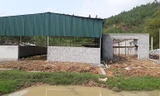 Thanh Hoá: Nhiều công trình trái phép xây dựng trong vùng quy hoạch