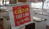 Chính quyền xã ở Thanh Hóa cấm dân bán thịt lợn để... chống dịch tả