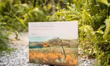 Mãn nhãn artbook “Những miền lưu dấu”: Khắc họa cảnh đẹp trong văn chương Việt