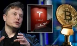 Sự "mong manh" của tiền ảo: Elon Musk vừa đăng bài, chỉ 45 phút sau Bitcoin rớt giá mạnh