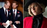 Kristen Stewart gửi lời nhắn đến anh em William - Harry sau khi đóng vai Công nương Diana