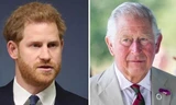 Cha con chia rẽ: Phản ứng đầu tiên của Thái tử Charles sau khi bị Harry chỉ trích lần nữa