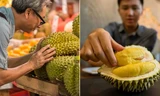 Vượt qua quả cherry, sầu riêng trở thành "biểu tượng flex mới" ở Trung Quốc