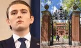 Thực hư việc Tổng thống Trump “nhắm” vào ĐH Harvard vì con trai Barron bị từ chối