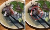 Dùng đũa gắp cá trên đĩa mà cá há miệng cắn lại, thực khách hết hồn, đầu bếp nói sao?