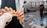 Mở dịch vụ hủy ảnh cưới cho người ly hôn, doanh nhân Trung Quốc thắng lớn