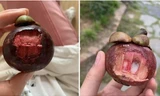 Một người Trung Quốc kêu trời vì măng cụt “vừa đắt vừa đắng”, hóa ra có cách ăn quá bất ngờ