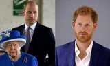 Hàng chục ngàn người Anh ký tên yêu cầu Harry từ bỏ tước vị, đường về nước Anh không dễ?