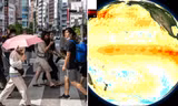 El Nino có cường độ mạnh và sắp đạt đỉnh điểm, ảnh hưởng thời tiết tháng tới thế nào?