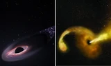 "Lỗ đen chạy trốn" đang lao đi trong vũ trụ, chuyện gì sẽ xảy ra nếu nó bay vào Hệ Mặt Trời?