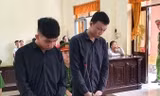 Hai bị cáo tại phiên toà. Ảnh Văn Vũ.