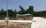Trước đó tình trạng phân lô, bán nền trên huyện Phú Quốc diễn ra phức tạp. 