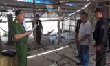 Bắt đối tượng bao chiếm đất, hủy hoại tài sản của người khác ở Phú Quốc