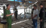 Bắt đối tượng bao chiếm đất, hủy hoại tài sản của người khác ở Phú Quốc