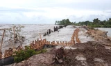 Kiên Giang công bố tình trạng sạt lở đê biển nghiêm trọng