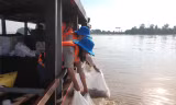 Cần Thơ thả 30.000 con cá giống để tái tạo nguồn lợi thuỷ sản