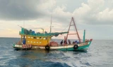 Chi cục THADS TP. Hà Tiên bị 'tố' không giao tài sản cho người trúng đấu giá