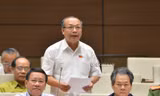 ĐBQH Đinh Duy Vượt (Gia Lai)