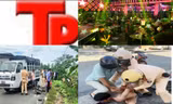 Bản tin Hình sự: Người đàn ông bị kẻ giả danh cán bộ trung tâm hành chính công lừa 350 triệu đồng