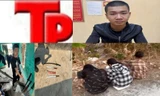 Bản tin Hình sự: Bắt đối tượng mang thi thể bạn ra vứt ở đê
