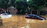 Nhiều ô tô bị ngập nặng, phải nằm lại trên đường Hoàng Quốc Việt, thành phố Lào Cai. ​