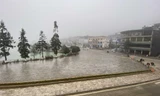 Sa Pa vắng bóng du khách đầu Xuân Canh tý.