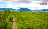 Một trong những điểm chạy hấp dẫn ở phố núi Pleiku