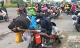 Khi TPHCM tiếp tục kéo dài áp dụng giãn cách xã hội theo Chỉ thị 16, những ngày gần đây, nhiều người dân từ Thành phố lại tìm đường về quê bằng xe máy.