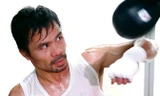 Pacquiao trước trận bảo vệ đai vô địch WBO hạng bán trung thế giới.