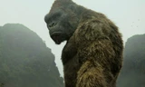 Kong: Skull Island cũng hái ra tiền ở khắp rạp chiếu thế giới