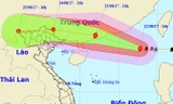 Dự kiến đường đi của bão số 6. Ảnh: NCHMF.