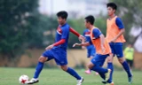 Các tuyển thủ U20 Việt Nam rất nỗ lực tập luyện.