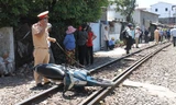 BẢN TIN ATGT: Bị tàu hỏa kéo lê hơn 100m, cụ ông tử vong