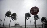 Bão Irma tiến vào nam Florida.