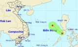 Vị trí và đường đi của áp thấp nhiệt đới. Nguồn: nchmf.gov.vn.