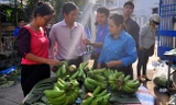 Các bạn đoàn viên trực tiếp bán chuối.