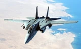 Tiêm kích F-14 Tomcat của Mỹ. Ảnh: Playbuzz.
