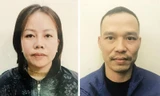 Phá đường dây tổ chức mang thai hộ cho những ông bố trẻ đơn thân