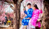 Cuộc thi Ảnh “Khoảnh khắc Xuân”: Xuân vui