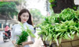 Hoa khôi Đại học Lao động xã hội dịu dàng bên hoa loa kèn