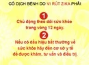 Việt Nam xét nghiệm 83 trường hợp có biểu hiện giống vi rút Zika